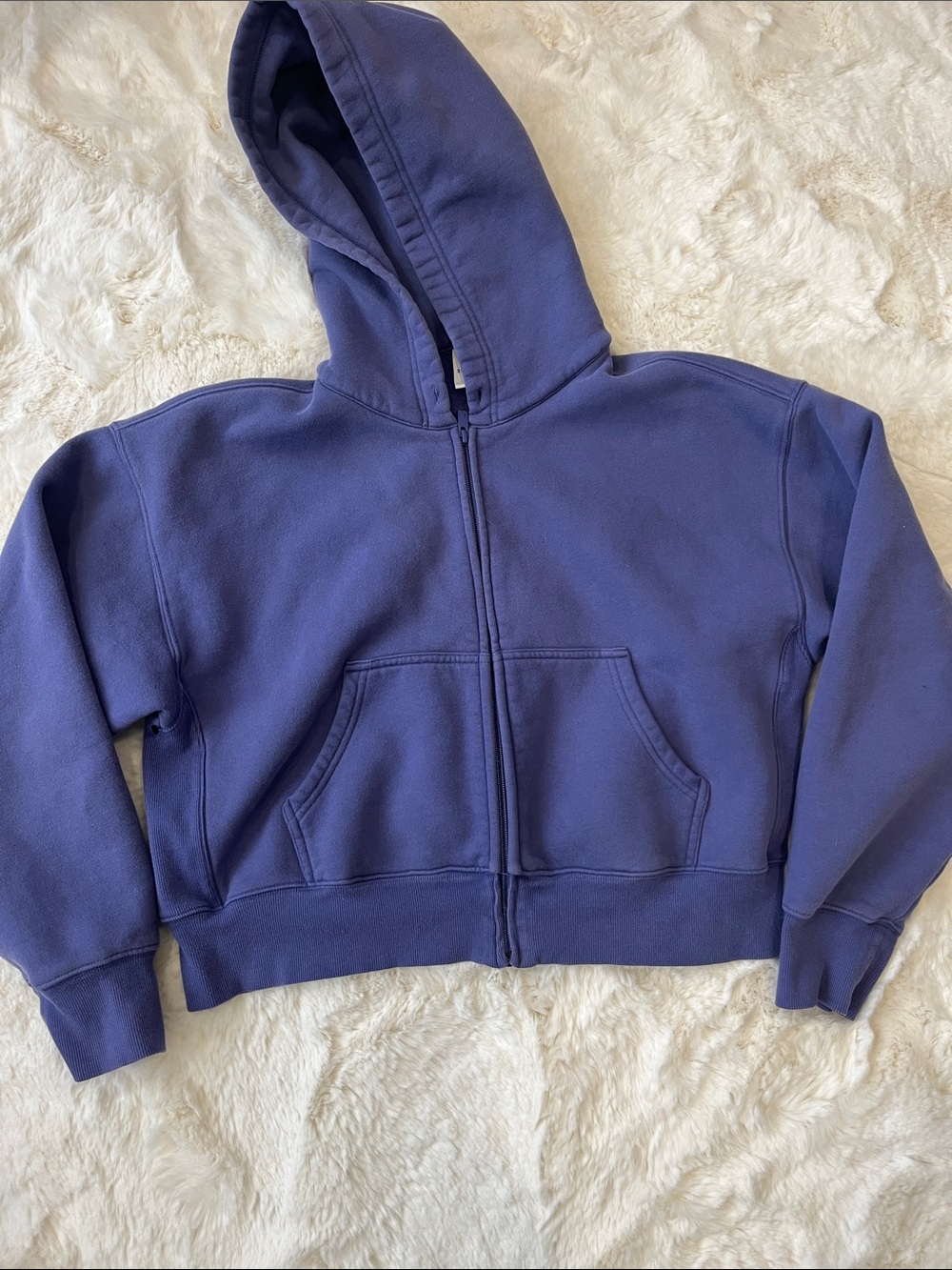 Aritzia Sweatfleece cozy fleece boyfriend fit Full-Zip Hoodie
